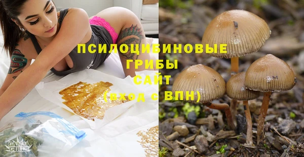 тгк Наволоки
