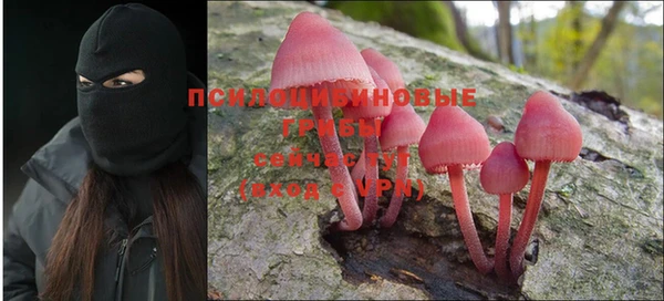 дурь Абаза
