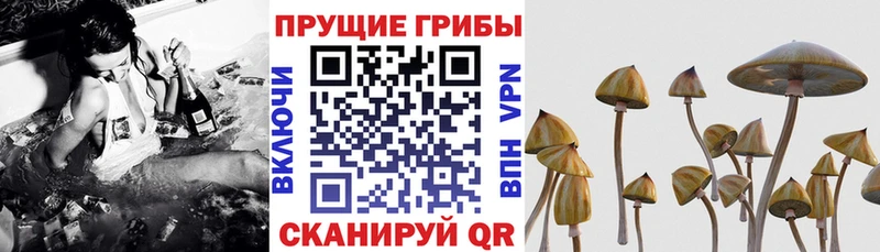 Галлюциногенные грибы мицелий  Барнаул 